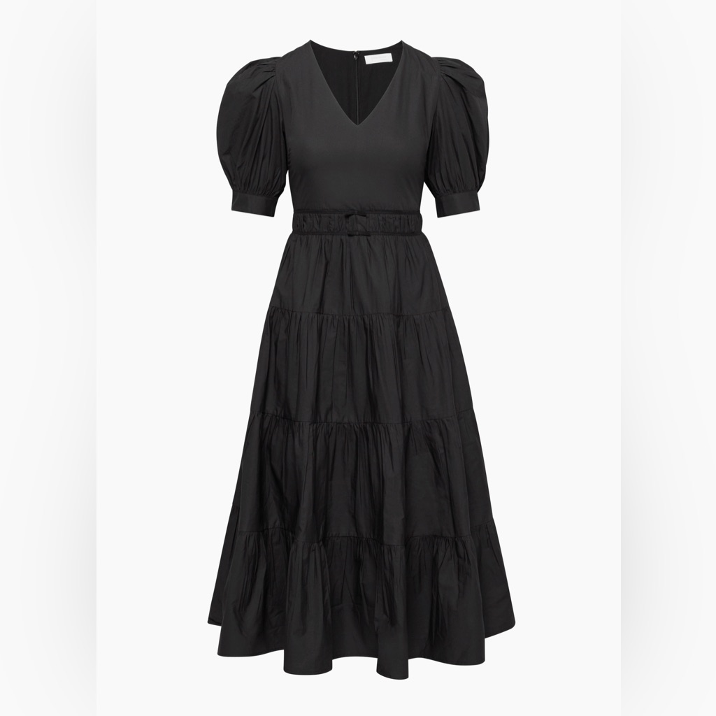 Aritzia Little Moon Dario Poplin Dress